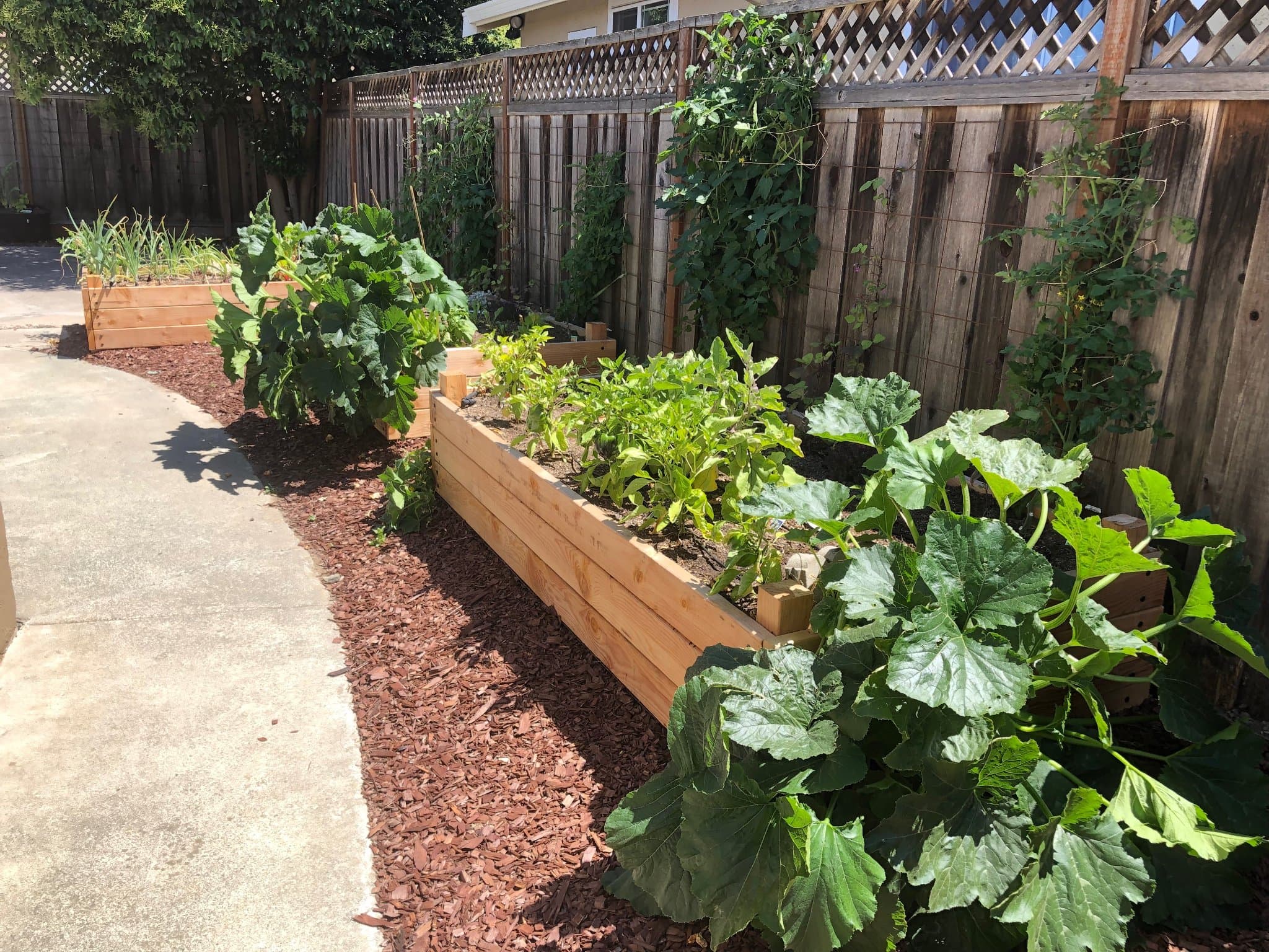 Lush raised bed garden installed by Yarden